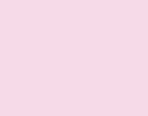 as pigment ink pad - blush –